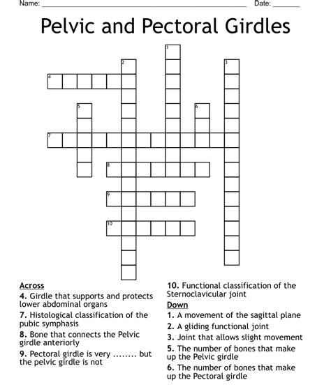 Pelvis related crossword - Pelvis part is a crossword puzzle clue. Clue: Pelvis part. Pelvis part is a crossword puzzle clue that we have spotted 9 times. There are related clues (shown below).
